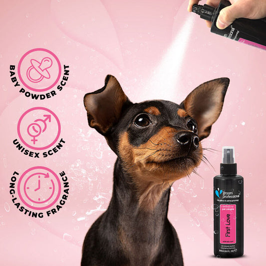 Groom Professional First Love - парфюм за куче, унисекс аромат 100ml
