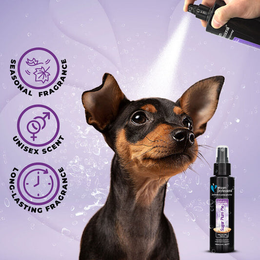 Groom Professional Sugar Plum Pie Cologne - парфюм за куче, унисекс аромат 100 мл