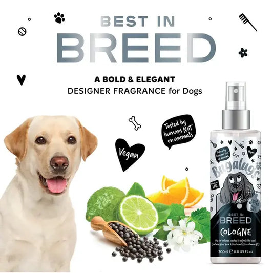 BugaLugs Best in Breed Dog Cologne Луксозен Одеколон за Шоу Кучета 200ml