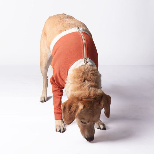 Luna & Milo Copper Body Front Legs – следоперативно боди за предни крака