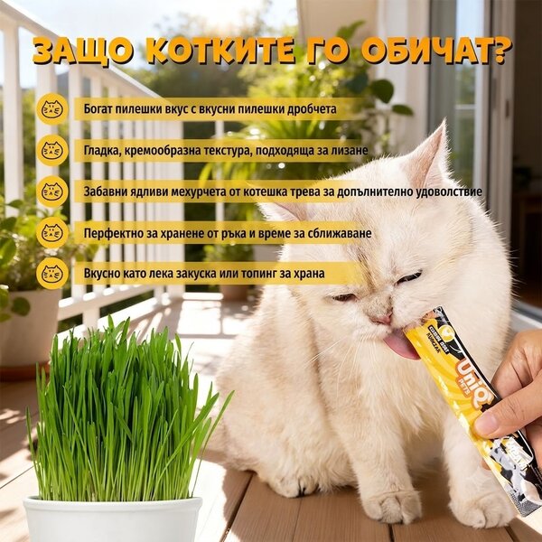 Uniq Pets Cat Bubble Cream Chicken with Cat Grass 15g - кремообразно лакомство за котки