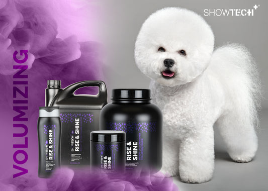 Show Tech+ Rise & Shine Шампоан - Груум БГ