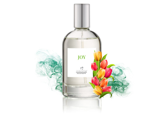 iGroom Парфюм Joy 100ml - Груум БГ