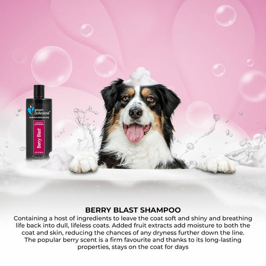 Groom Professional Berry Blast Шампоан - Груум БГ