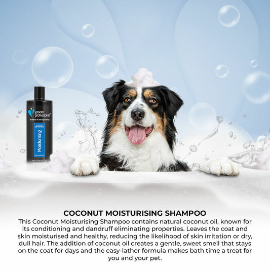 Groom Professional Coconut Moisturizing Овлажняващ Шампоан - Груум БГ