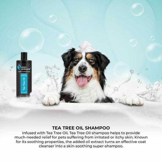 Groom Professional Tea Tree Oil Шампоан - Груум БГ