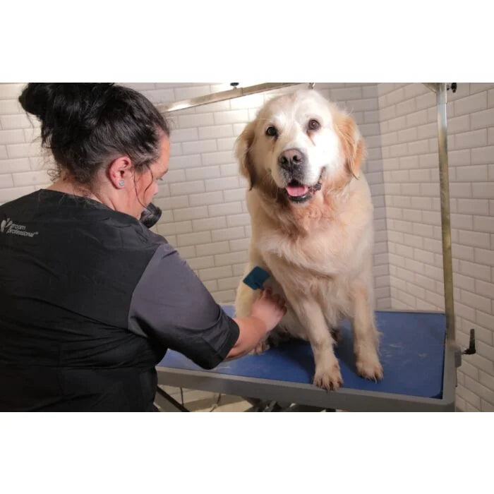 Groom Professional Kilimanjaro Ниска Електрическа Груминг Маса
