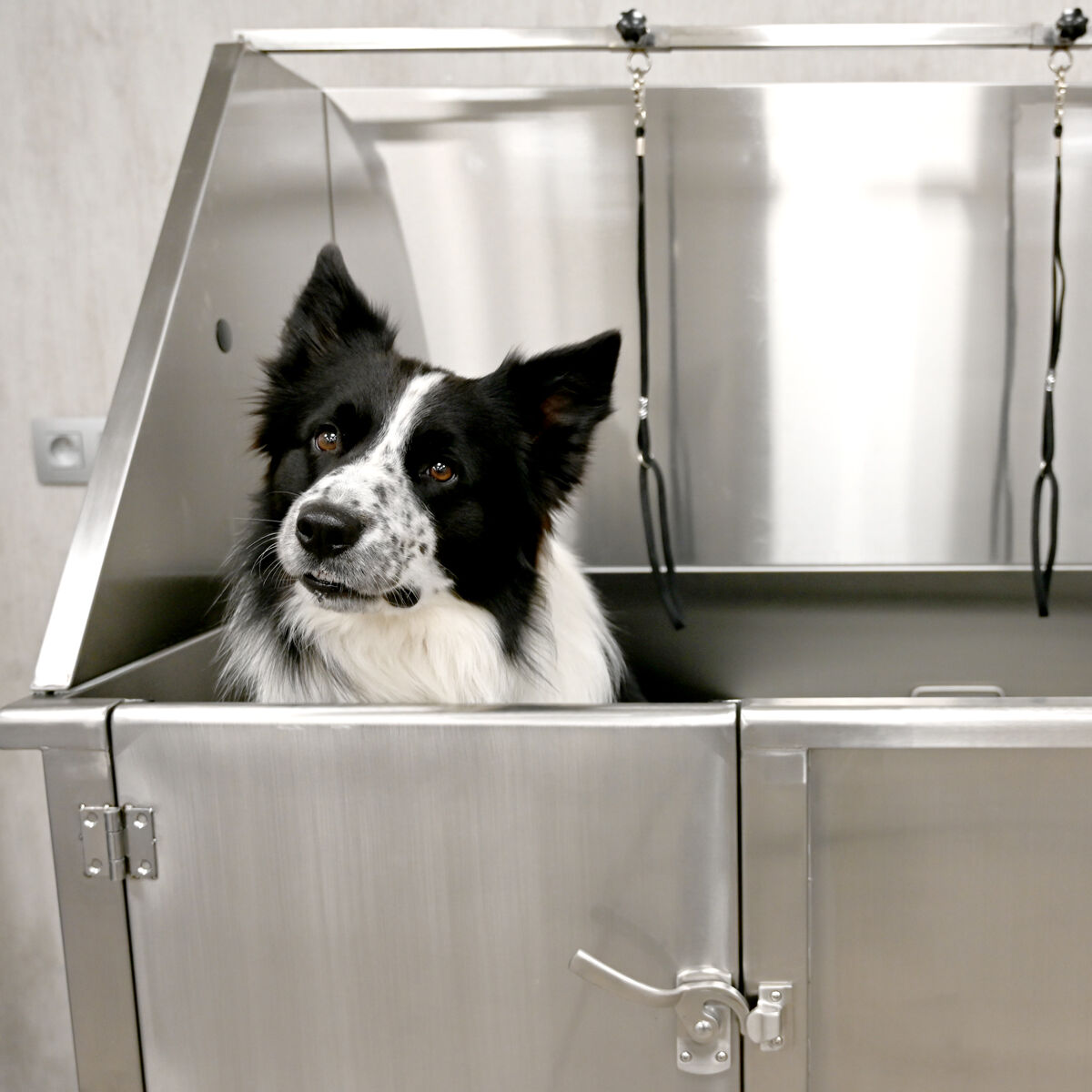 Groom-X Professional Walk-In Stainless Steel Bath - Професионална вана за Груминг - Груум БГ