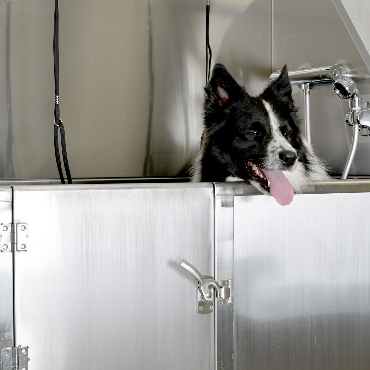Groom-X Professional Walk-In Stainless Steel Bath - Професионална вана за Груминг - Груум БГ