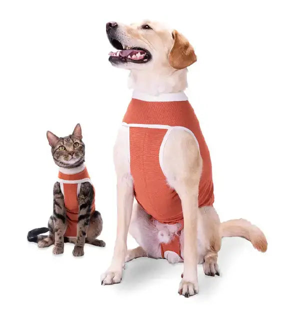 Luna & Milo Copper Body Classic – медицинско боди за куче и котка