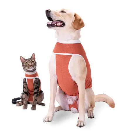 Luna & Milo Copper Body Classic – медицинско боди за куче и котка