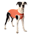 Luna & Milo Copper Body Classic, Medical Recovery Bodysuit for Dogs and Cats