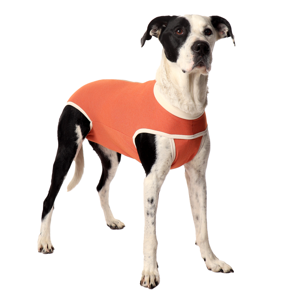 Luna & Milo Copper Body Classic – медицинско боди за куче и котка