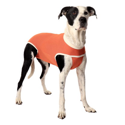 Luna & Milo Copper Body Classic – медицинско боди за куче и котка