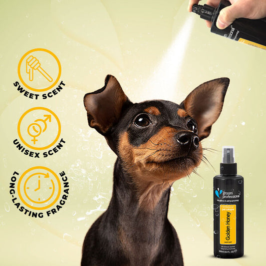 Groom Professional Golden Honey Colognes - парфюм за куче, унисекс аромат 100ml