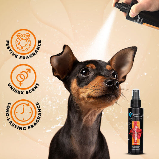 Groom Professional Mulled Orange парфюм за куче Греян Портокал, 100 мл