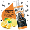 BugaLugs Stinky Dog Deodorising Dog Shampoo – Дезодориращ шампоан за кучета