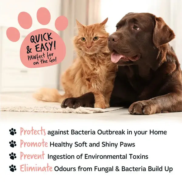 Bugalugs Papaya & Coconut No-Rinse Paw Cleaner - Пяна за почистване на лапи с аромат на папая и кокос и четка 200 мл