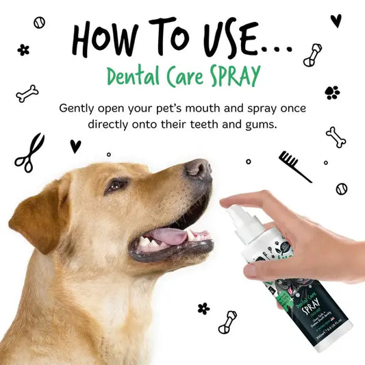 BugaLugs Dental Care Spray Fresh Mint for Dogs & Cats Дентален Спрей за Свеж Дъх и Почистване 200ml