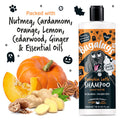 Bugalugs Spooky Edition Pumpkin Latte Dog Shampoo шампоан за кучета с аромат на тиквено лате 500ml