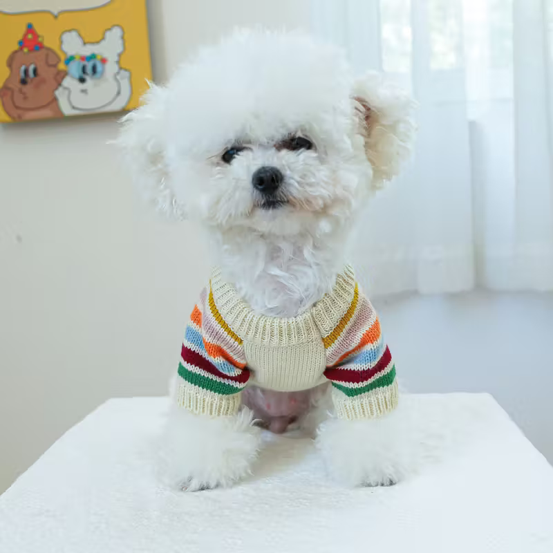 Rainbow Knit Style Пуловер за кучета