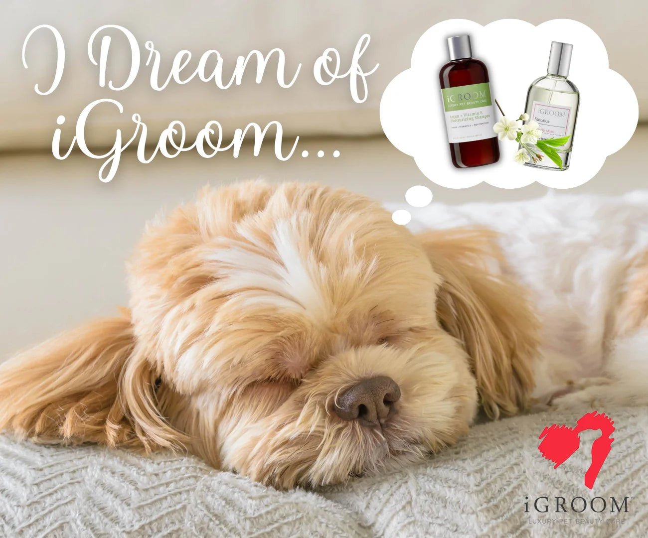 iGroom Argan + Vitamin E Шампоан - Груум БГ
