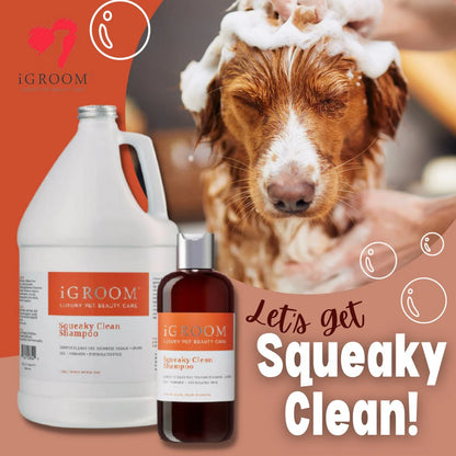 iGroom Squeaky Clean Шампоан
