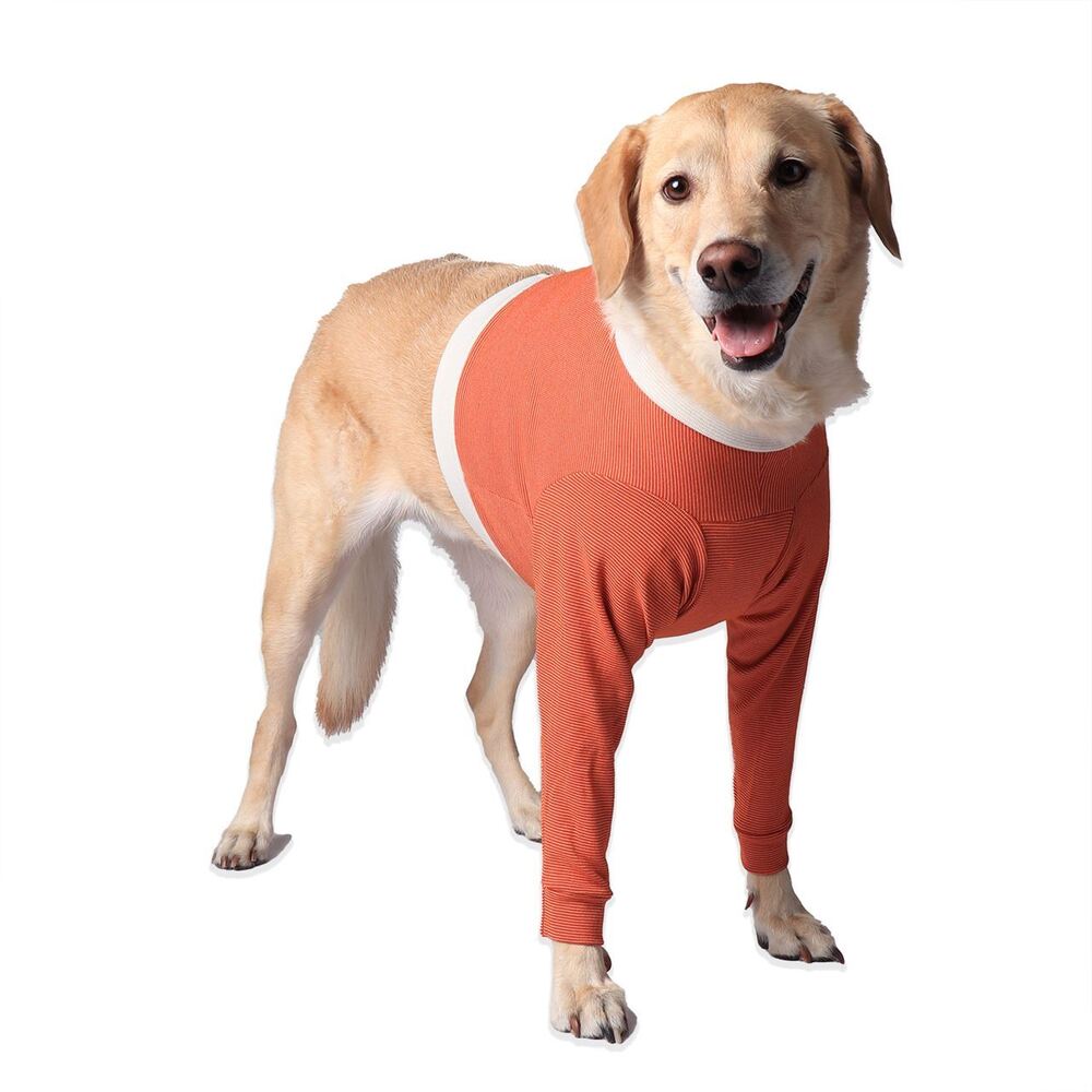 Luna & Milo Copper Body Front Legs – следоперативно боди за предни крака
