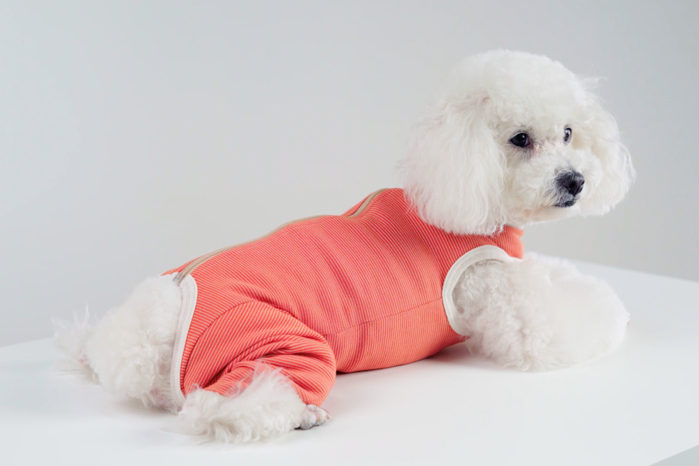 Luna & Milo Copper Body Hind Legs – следоперативно боди за задни крака