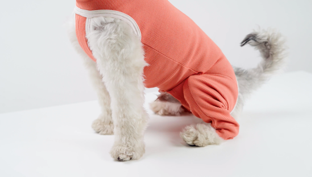 Luna & Milo Copper Body Hind Legs, Post-Surgery Recovery Bodysuit