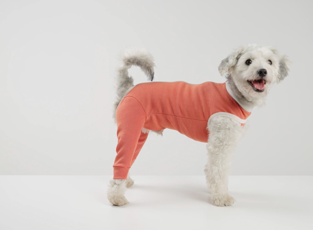 Luna & Milo Copper Body Hind Legs, Post-Surgery Recovery Bodysuit