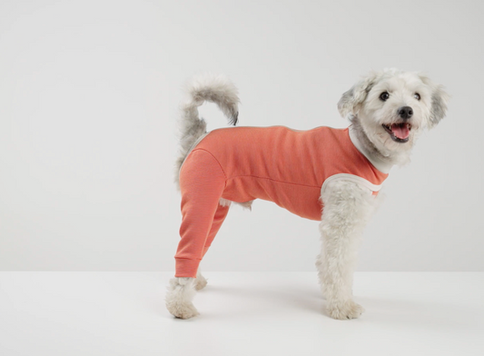 Luna & Milo Copper Body Hind Legs – следоперативно боди за задни крака