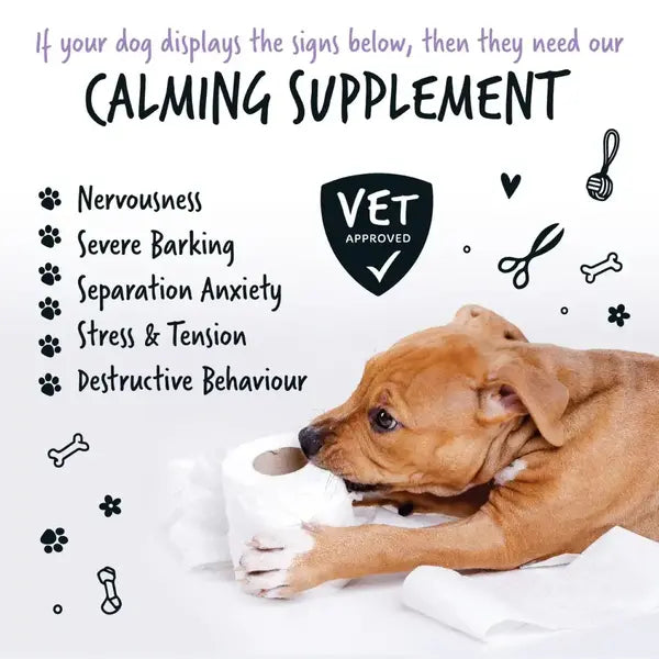 Bugalugs Calming Powder Supplement - Успокояваща добавка на прах за кучета 80 гр
