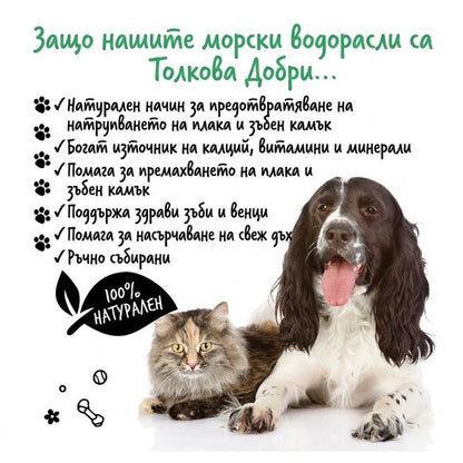 Bugalugs Dental Plaque Remover Cat - Натурална пудра от ирландски водорасли за премахване на зъбна плака за котки 70 гр