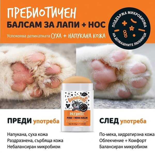 Bugalugs Probiotic Protective Moisturising Balm Stick for Paw, Nose & Skin, Cats, 40g
