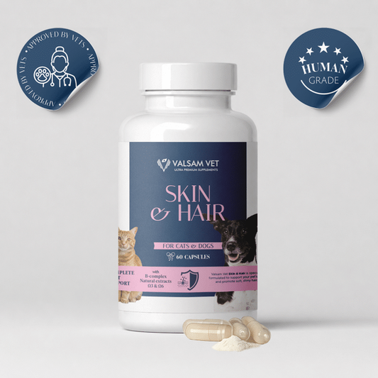 Valsam Vet Skin & Hair добавка за кожа и козина за кучета и котки, 60 капсули