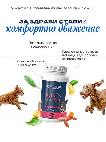 Valsam Vet Skin & Hair добавка за кожа и козина за кучета и котки, 60 капсули