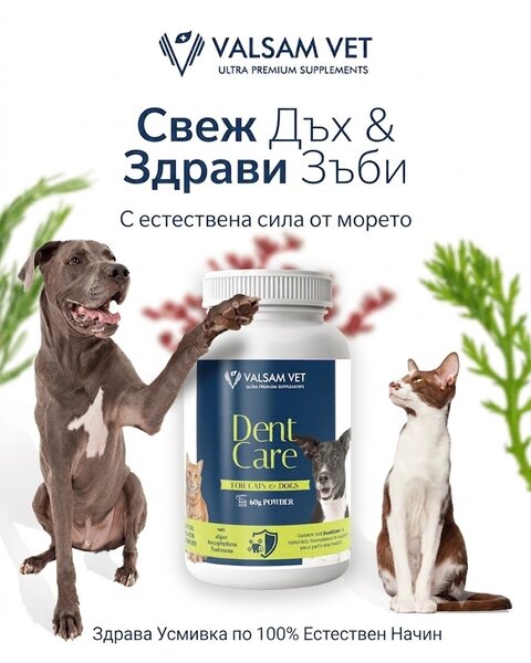 Valsam Vet DentCare добавка за устна хигиена за кучета и котки, 60 г