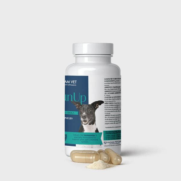 Valsam Vet ImmunUp за естествените защитни сили на кучета и котки, 60 капсули