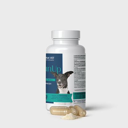 Valsam Vet ImmunUp за естествените защитни сили на кучета и котки, 60 капсули