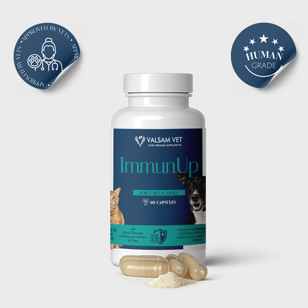 Valsam Vet ImmunUp за естествените защитни сили на кучета и котки, 60 капсули