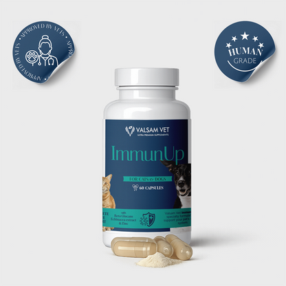 Valsam Vet ImmunUp за естествените защитни сили на кучета и котки, 60 капсули