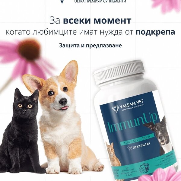 Valsam Vet ImmunUp за естествените защитни сили на кучета и котки, 60 капсули