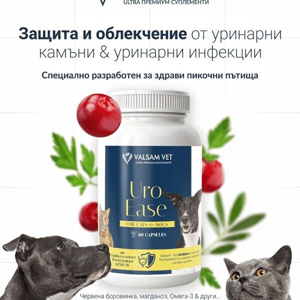 Valsam Vet UroEase комплекс за уринарната система за кучета и котки, 60 капсули