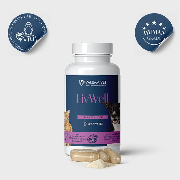 Valsam Vet LivWell комплекс за черния дроб на кучета и котки, 60 капсули