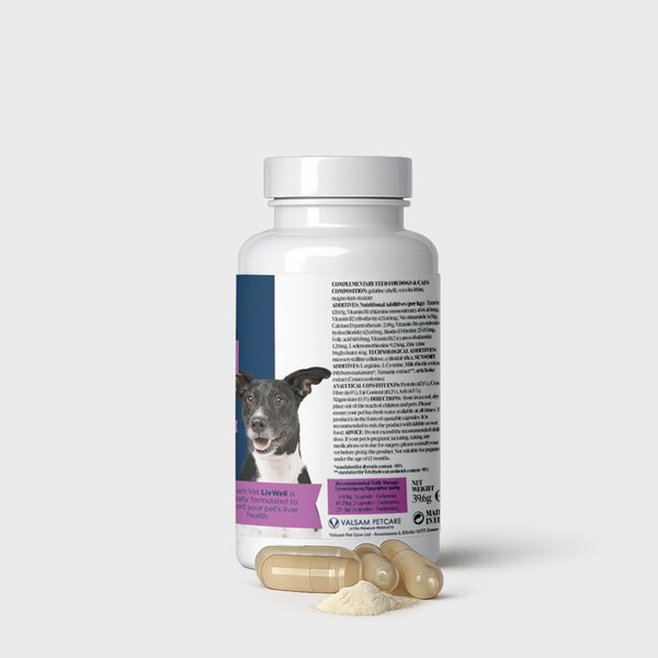 Valsam Vet LivWell комплекс за черния дроб на кучета и котки, 60 капсули