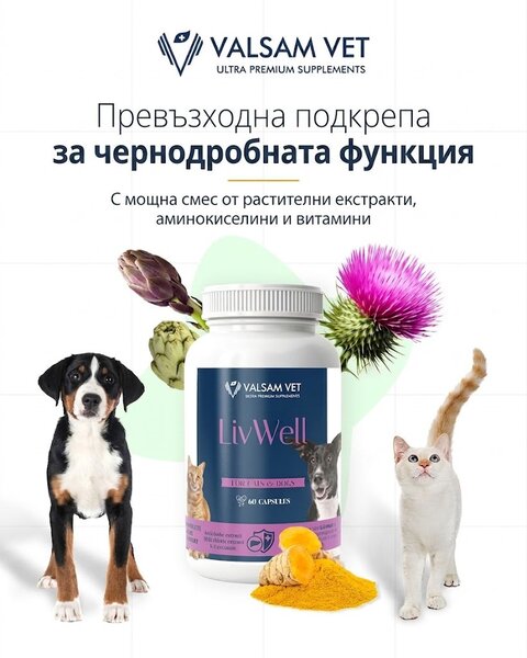 Valsam Vet LivWell комплекс за черния дроб на кучета и котки, 60 капсули