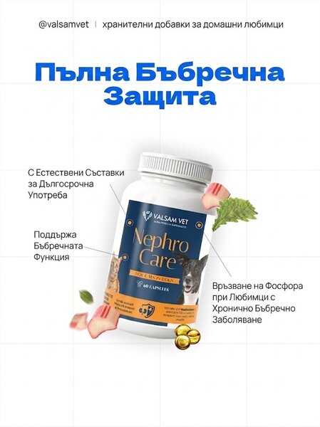 Valsam Vet NephroCare подкрепа за бъбречната функция за кучета и котки, 60 капсули