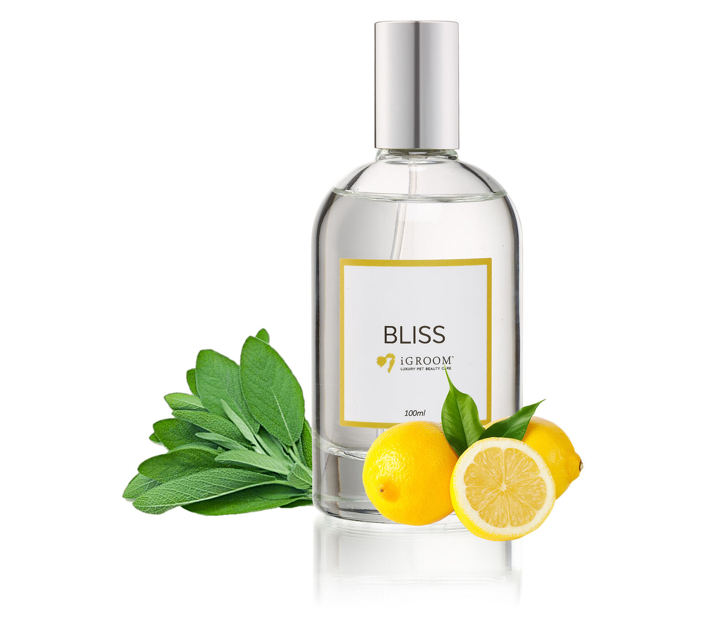 iGroom Парфюм Bliss 100ml