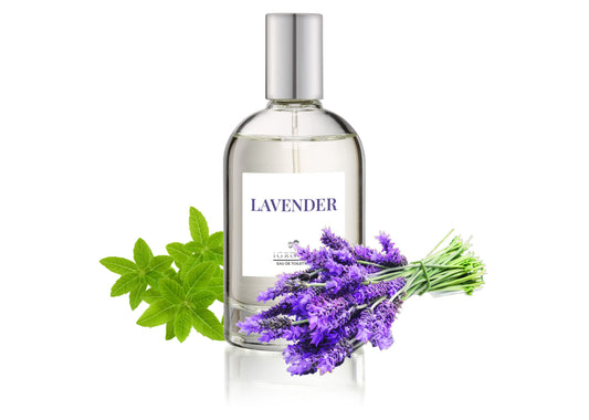 iGroom Парфюм Lavender 100ml